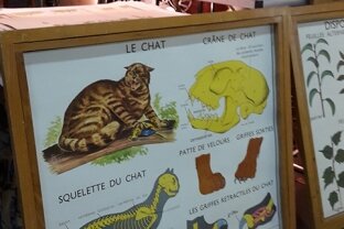 salon lyon vintage pêle-mêle