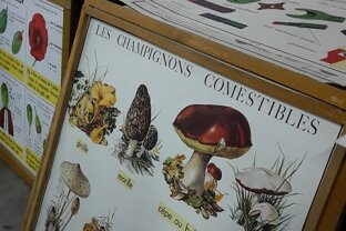 salon lyon vintage pêle-mêle