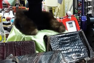 salon lyon vintage pêle-mêle